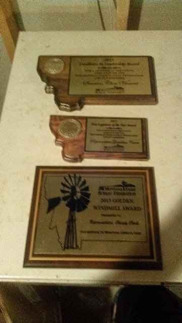 2015 Goldman Windmill Award